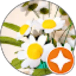 Review From Nova Novitasari