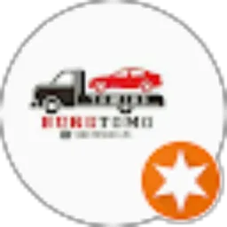 Review From Bungtomo towing Tomo