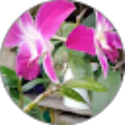 Review From Putu Yuniari