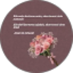 Review From Romy Noordin