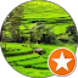 Review From Mansur