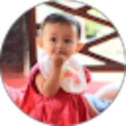 Review From dedy setiawan