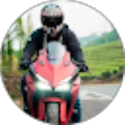 Review From Angga Ryandi