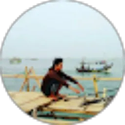 Review From Dwi baskara Baskara