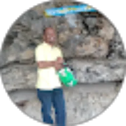 Review From Anselmus Mindri