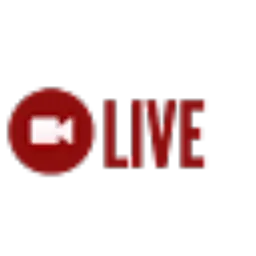 Review From Jasa Live