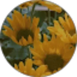Review From Heeyow