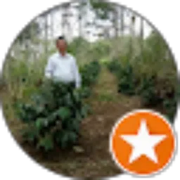 Review From Yustinus Mahu