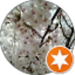 Review From Cole