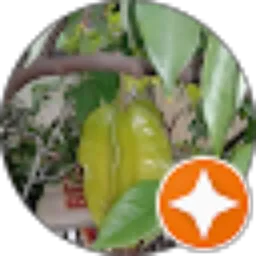 Review From eko hadimulyono