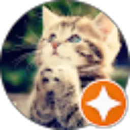 Review From kucing create