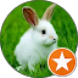 Review From inod qwerty