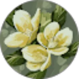 Review From Naila 10