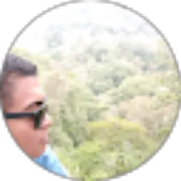 Review From wahyudi Aldi