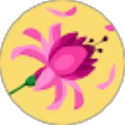 Review From naya