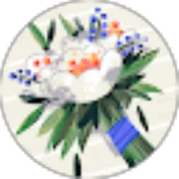 Review From Aya