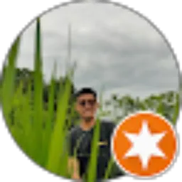 Review From Ramli postman