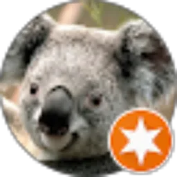 Review From Ice Ward