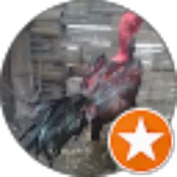 Review From kandang baru farm