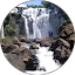 Review From Nda MC