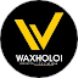 Review From Dailiy WAXHOLOI