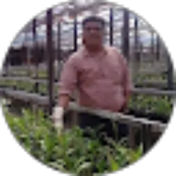 Review From Roylian turnip Lian turnip