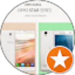 Review From Rudi Rudini