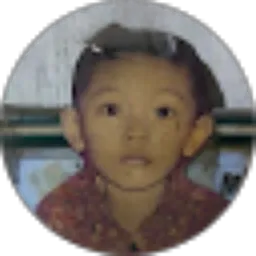 Review From Sonny Yolanda