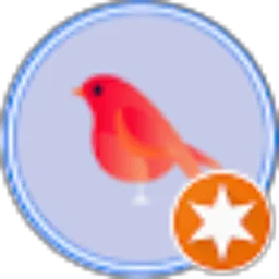 Review From winnata young