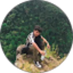Review From Zull !