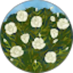 Review From Pus Pita12