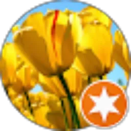 Review From Advanced business