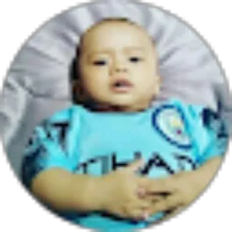 Review From Ridwan Suwandi
