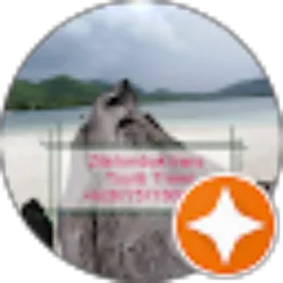 Review From Zila Lombok trans