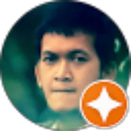 Review From Joko TRIYANTO