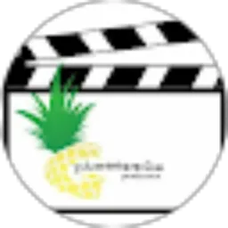 Review From Pineapple Project