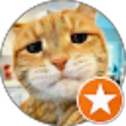 Review From AFLR