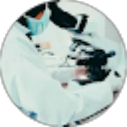 Review From Ilmxy 24
