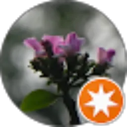 Review From Setyo Atmoko