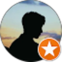 Review From Dini