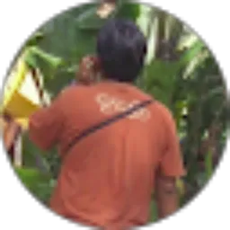 Review From dedyslim siregar