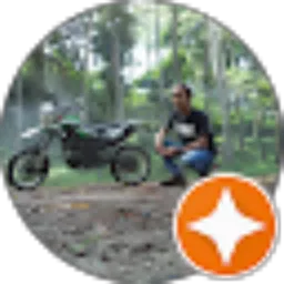 Review From rokenrol palsu