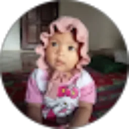 Review From Hartono Shafa