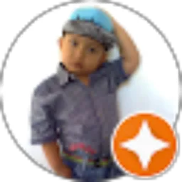 Review From Indra A. Dada