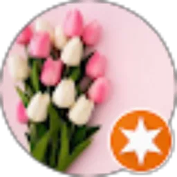 Review From Lyn Lie