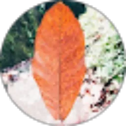 Review From B Y