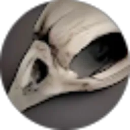 Review From Gogooo Nnnn