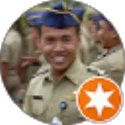 Review From Anton Widawan