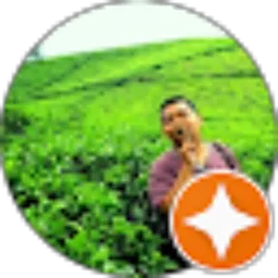Review From ardiyan pratama