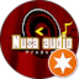 Review From NUSA AUDIO